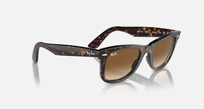 Wayfarer Polished Tortoise Brown Lense