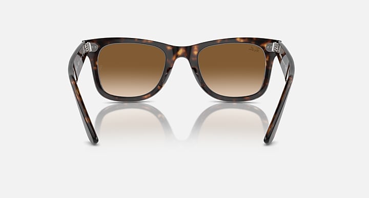 Wayfarer Polished Tortoise Brown Lense