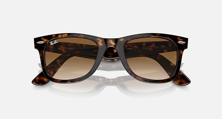 Wayfarer Polished Tortoise Brown Lense
