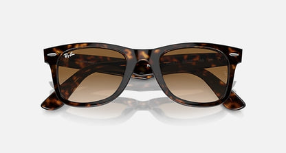 Wayfarer Polished Tortoise Brown Lense