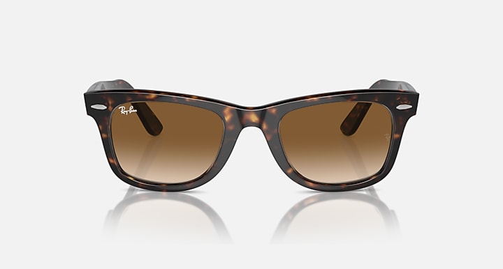 Wayfarer Polished Tortoise Brown Lense