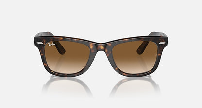 Wayfarer Polished Tortoise Brown Lense