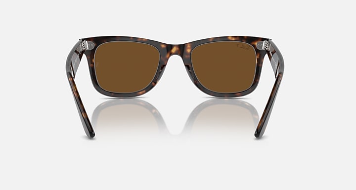 Tortoise Frame Brown Shade