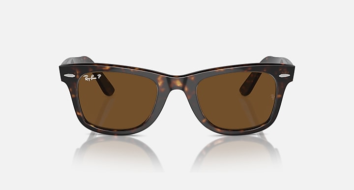 Tortoise Frame Brown Shade
