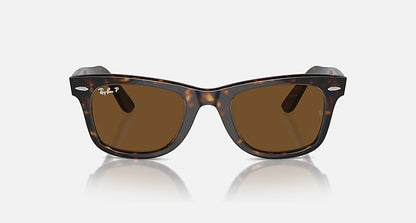 Tortoise Frame Brown Shade