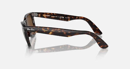 Tortoise Frame Brown Shade