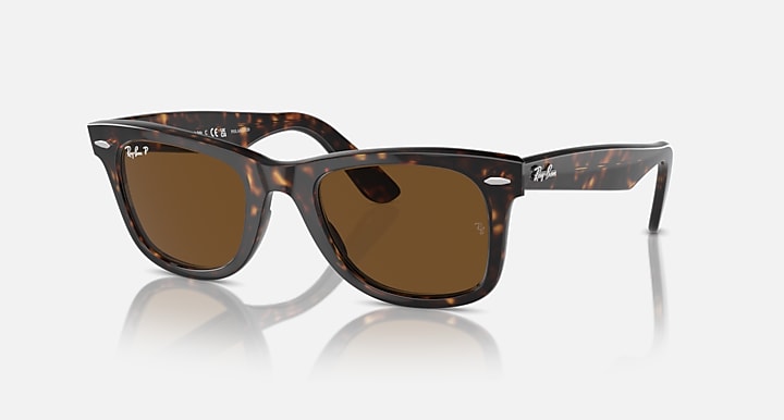 Tortoise Frame Brown Shade