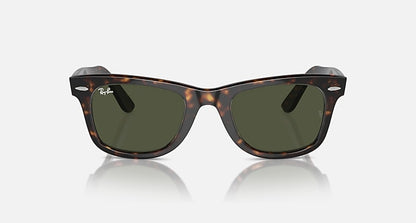 Tortoise Frame Green Shade