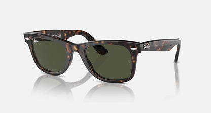 Tortoise Frame Green Shade