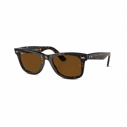 RayBan Wayfarers