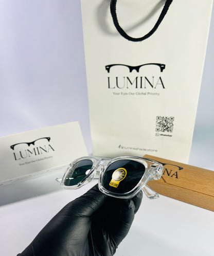 Ray-Ban Polished Transparent Black Shade