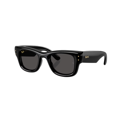 RayBan WAYFARER PUFFER UNISEX