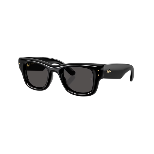 RayBan WAYFARER PUFFER UNISEX