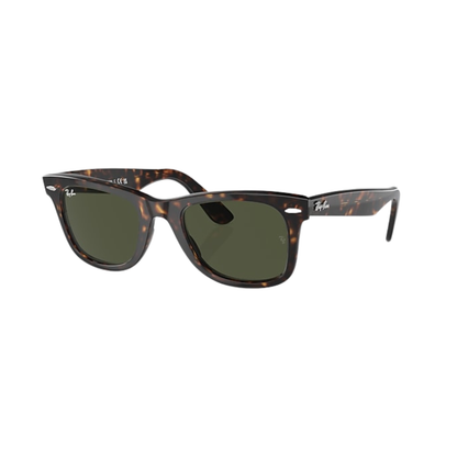 Wayfarer Polished Tortoise Brown Lense