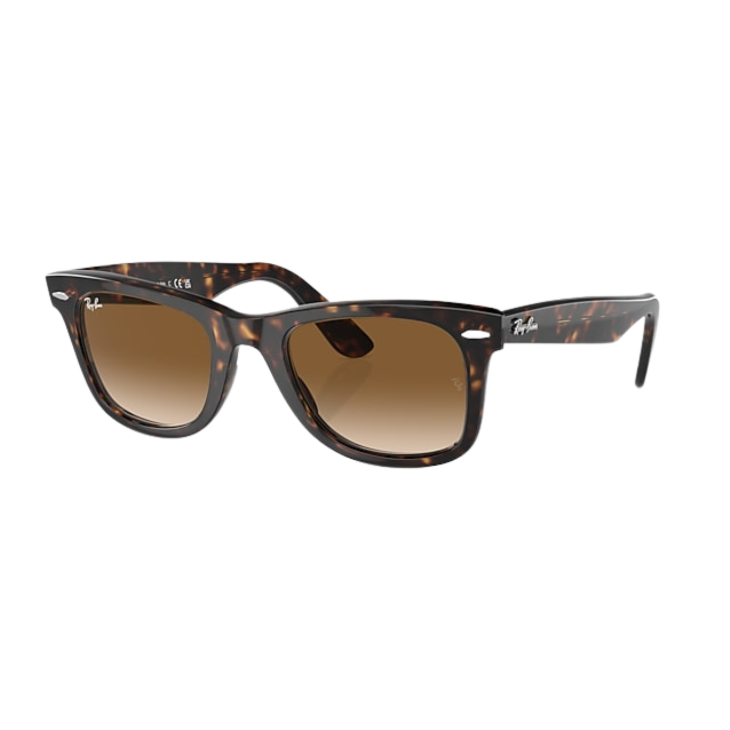 Wayfarer Polished Tortoise Brown Lense