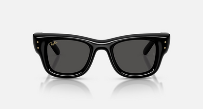 RayBan WAYFARER PUFFER UNISEX